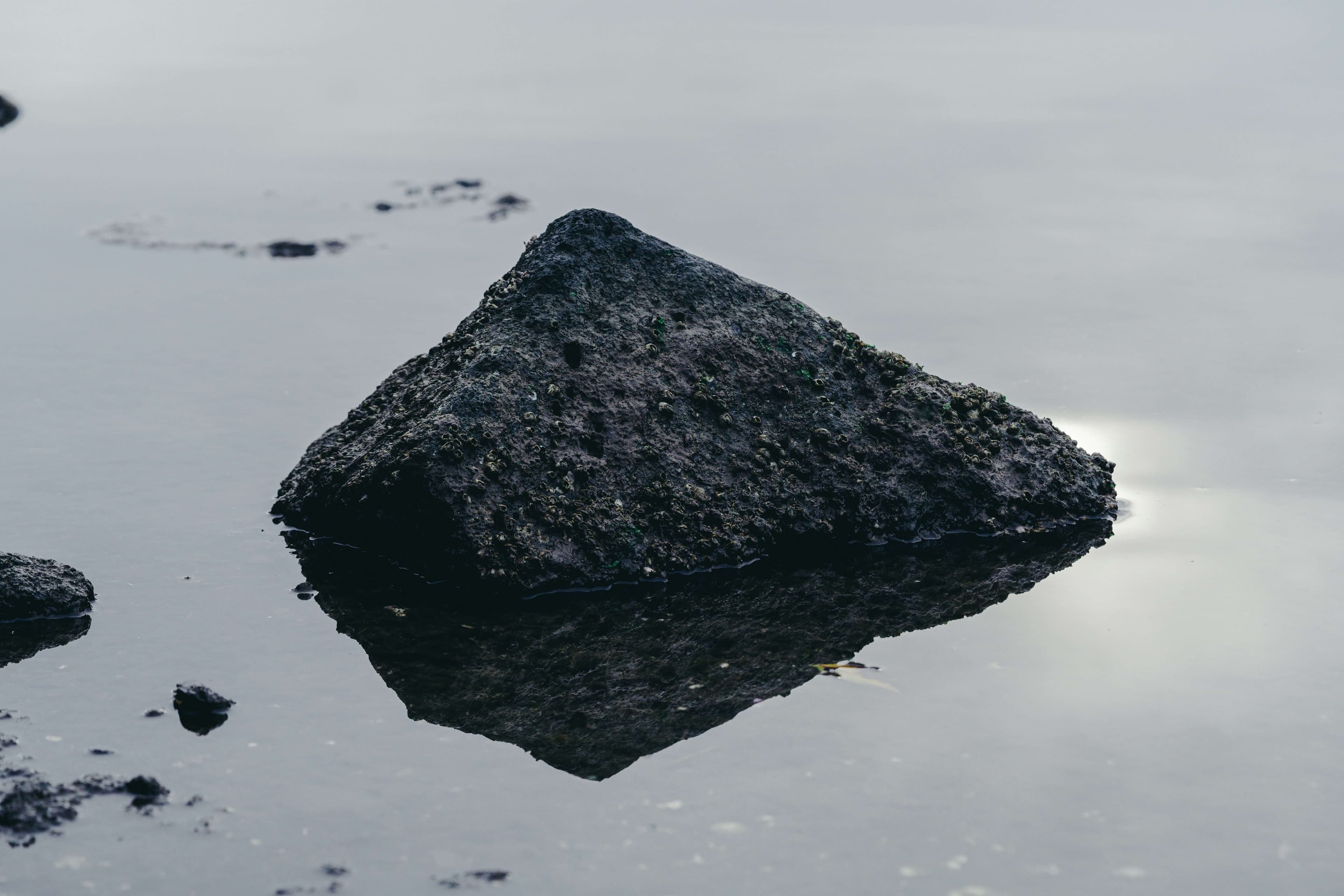 Configuring a version control for my Obsidian vault with GitHub, bash scripts and cron